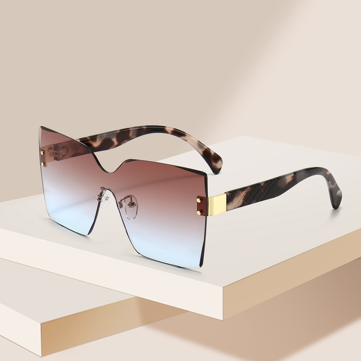 Sunglass