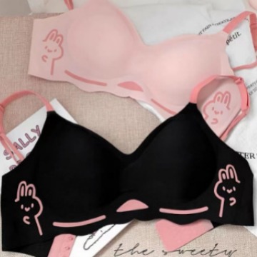Imported Bra